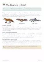 Vorschau - Unterrichtsreihen - Säugetiere & ihre Vielfalt – Biologie Gesamtpaket | Fell, Gebiss, Fortbewegung, Fortpflanzung & Lebensräume - Seite 3