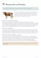 Vorschau - Unterrichtsreihen - Nutztiere & Tierwohl – Biologie Gesamtpaket | Rind, Schwein, Huhn, Verdauung, Haltung & verantwortliches Urteilen - Seite 3