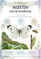 Vorschau - Unterrichtsreihen - Insekten im Fokus – XXL-Bundle mit 4 kompletten Biologie-Unterrichtseinheiten | Metamorphose, Bienen, Ameisen, Schmetterlinge & Käfer - Seite 1
