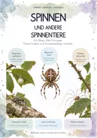 Vorschau - Unterrichtsreihen - Komplettpaket Tiere – MEGA-Bundle mit 20 Unterrichtseinheiten | Wirbeltiere, Wirbellose, Insekten, Säugetiere, Lebensräume, Entwicklung & Tierwohl - Seite 1