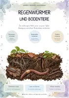 Vorschau - Unterrichtsreihen - Regenwürmer & Bodentiere – Biologie Gesamtpaket | Bodenleben, Hautatmung, Humus, Zersetzung, Nahrungsnetz & Bodenschutz - Deckblatt
