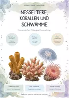 Vorschau - Unterrichtsreihen - Nesseltiere, Korallen & Schwämme – Biologie Gesamtpaket | Polypen, Quallen, Symbiose, Korallenbleiche & Riffökologie - Deckblatt