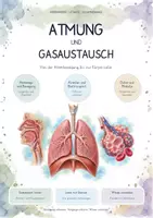 Vorschau - Unterrichtsreihen - Atmung & Gasaustausch – Biologie Gesamtpaket | Atemwege, Zwerchfell, Alveolen, Diffusion, Bluttransport & Zellatmung - Deckblatt