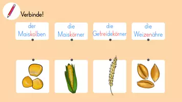 Vorschau - Spiele - Lesespiel Getreide - "Ich habe ... Wer hat ...?" - Seite 2