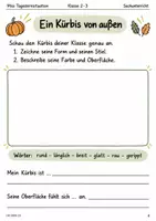 Vorschau - Stundenentwürfe - Der Kürbis – Forscherheft vom Samen bis zur Ernte | Sachunterricht Klasse 2–3 | Keimversuch mit Lösungen - Seite 3