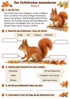 Vorschau - Arbeitsblätter - Das Eichhörnchen - Sachunterricht Kl. 3 - Seite 3