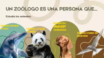 Vista previa - Presentaciones - los animales - página 3