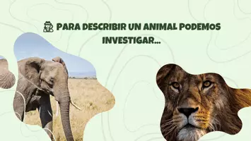 Vista previa - Presentaciones - CARACTERÍSTICAS DE LOS ANIMALES - página 3