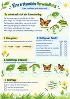 Vorschau - Stundenentwürfe - Natur entdecken – 5 große Themen im Paket | Sachunterricht Klasse 3–5 - Seite 3