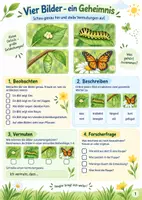Vorschau - Stundenentwürfe - Natur entdecken – 5 große Themen im Paket | Sachunterricht Klasse 3–5 - Seite 2
