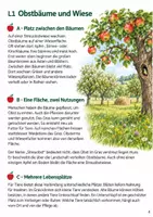 Vorschau - Stundenentwürfe - Sachtexte zum Leseverständnis Klasse 4 – Die Streuobstwiese: Texte und Aufgaben - Seite 3