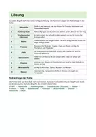 Vorschau - Stundenentwürfe - Ernährung & Nährstoffe – wachsendes Materialpaket | Arbeitsblätter, DaZ, Unterrichtsstunden & Lösungen - Seite 3