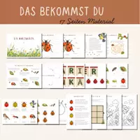 Vorschau - Mal- und Bastelvorlagen - Materialpaket Marienkäfer | Körperteile Lebenszyklus Wissen Basteln Lernkarten | Insekten Projekt - Seite 1