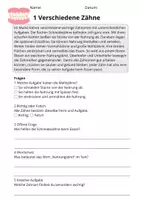 Vorschau - Stundenentwürfe - Leseverständnis Zähne – Klasse 3 | 10 Lesetexte mit Fragen & Lösungen - Seite 3