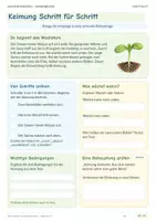 Vorschau - Stundenentwürfe - Vom Samen zur Sonnenblume – Pflanzenwachstum entdecken | Sachunterricht Klasse 3–5 - Seite 3