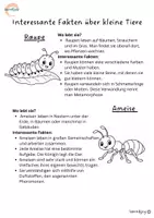 Vorschau - Arbeitsblätter - Kleine Tiere – große Vielfalt | Insekten, Schnecken, Würmer & Co. - Seite 1