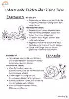 Vorschau - Arbeitsblätter - Kleine Tiere – große Vielfalt | Insekten, Schnecken, Würmer & Co. - Seite 3