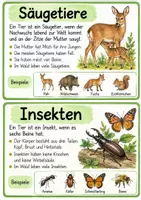 Vorschau - Arbeitsblätter - Materialpaket Waldtiere und Tiere im Winter - Seite 1