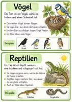Vorschau - Arbeitsblätter - Materialpaket Waldtiere und Tiere im Winter - Seite 2