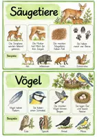 Vorschau - Arbeitsblätter - Materialpaket Waldtiere und Tiere im Winter - Seite 3