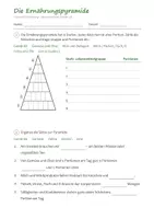 Vorschau - Arbeitsblätter - Sachunterricht Klasse 3/4 Paket – 11 Hefte: Wasser, Luft, Feuer, Strom, Wetter, Ernährung, Skelett, Organe, Lapbooks Wald, Wasser, Kontinente (HSU) - Seite 3