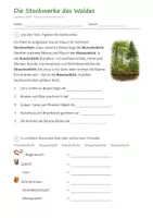 Vorschau - Arbeitsblätter - Lapbook Wald Klasse 3/4 – Sachunterricht Grundschule mit Faltvorlagen, Infotexten und Lösungen (HSU) - Seite 2