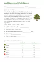 Vorschau - Arbeitsblätter - Lapbook Wald Klasse 3/4 – Sachunterricht Grundschule mit Faltvorlagen, Infotexten und Lösungen (HSU) - Seite 3