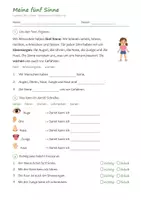 Vorschau - Arbeitsblätter - Lapbook Die 5 Sinne Klasse 1/2 – Sachunterricht Grundschule mit Faltvorlagen, Infotexten und Lösungen (HSU) - Seite 2