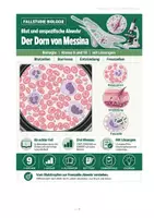 Vorschau - Stundenentwürfe - Blut & Abwehr | Biologie 9/10 - Seite 1