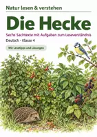 Vorschau - Stundenentwürfe - Sachtexte zum Leseverständnis Klasse 4: Wald, Wiese & Hecke | 3 Hefte im Paket - Seite 1