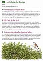 Vorschau - Stundenentwürfe - Sachtexte zum Leseverständnis Klasse 4: Wald, Wiese & Hecke | 3 Hefte im Paket - Seite 3