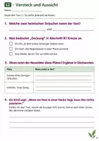 Vorschau - Stundenentwürfe - Sachtexte zum Leseverständnis Klasse 4 – Die Hecke: Texte und Aufgaben - Seite 3