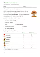 Vorschau - Arbeitsblätter - Lapbook Herbst Klasse 1/2 – Mini-Lapbook Sachunterricht Grundschule mit Faltvorlagen, Lesetexten und Lösungen (HSU) - Seite 2