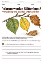 Vorschau - Arbeitsblätter - Blattverfärbung Arbeitsheft Klasse 5–6 - Deckblatt