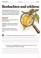 Vorschau - Arbeitsblätter - Blattverfärbung Arbeitsheft Klasse 5–6 - Seite 2