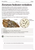 Vorschau - Arbeitsblätter - Herbstlaub und Boden Arbeitsheft Klasse 5–6 - Seite 1