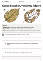 Vorschau - Arbeitsblätter - Herbstlaub und Boden Arbeitsheft Klasse 5–6 - Seite 2