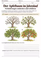 Vorschau - Arbeitsblätter - Apfel 5 Arbeitshefte im Bundle Klasse 5–6 - Seite 1