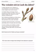 Vorschau - Arbeitsblätter - Apfel 5 Arbeitshefte im Bundle Klasse 5–6 - Seite 2