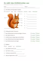 Vorschau - Arbeitsblätter - Herbst Grundschule Gesamtpaket – 9 Hefte: Forscherhefte Eichhörnchen, Igel, Apfel, Kartoffel, Kürbis Lernwerkstatt, 3D-Pilz und 3D-Kürbis - Seite 3