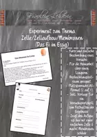 Vorschau - Arbeitsblätter - Einfacher Versuch zur Zelle/Membranfunktion; Das Ei im Essig! Homeschooling-geeignet! - Deckblatt