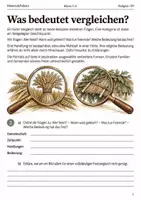 Vorschau - Arbeitsblätter - Erntefeste vergleichen Arbeitsheft Klasse 5–6 - Seite 1