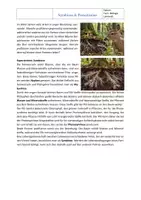 Vorschau - Arbeitsblätter - Ökosystem Wald: Symbiose und Parasitismus – Arbeitsblatt mit Lösung | Klasse 7/8 - Seite 1