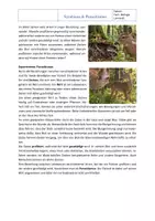 Vorschau - Arbeitsblätter - Ökosystem Wald: Symbiose und Parasitismus – Arbeitsblatt mit Lösung | Klasse 7/8 - Seite 3