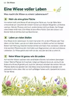 Vorschau - Stundenentwürfe - Sachtexte zum Leseverständnis Klasse 4 – Die Wiese: Texte und Aufgaben - Seite 2
