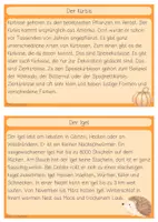 Vorschau - Aufgabenkarten - Lesekartei Herbst mit Fragen - Seite 2