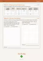 Vorschau - Klassenarbeiten - Klassenarbeit Brüche und Zuordnungen Klasse 7 – Graphen, Dreisatz, Gruppe A & B (PDF + Word) - Seite 3
