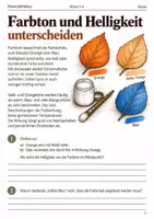 Vorschau - Arbeitsblätter - Kunstwerkstatt Herbst Bundle Klasse 5–6 - Seite 2