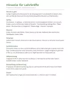Vorschau - Arbeitsblätter - Projektwoche Klasse 1/2 Paket – 5 Lernwerkstätten Sachunterricht: Dinosaurier, Bauernhof, Meer, Insekten, Zirkus (HSU) - Seite 2