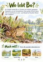 Vorschau - Arbeitsblätter - Bo der Frosch – Wo ist der Frosch im Winter? | Mitmachheft - Seite 3